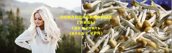 твердый Алексин