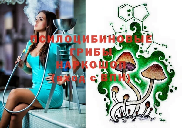 твердый Алексин