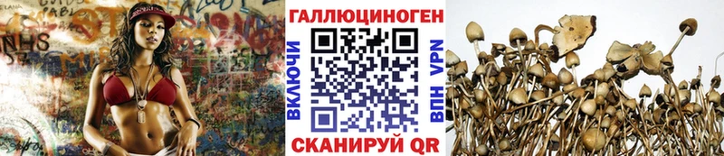 купить  сайты  Качканар  omg как войти  Галлюциногенные грибы прущие грибы 